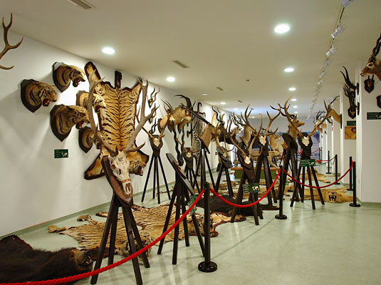 történelmi modellvasút kiállítás és vadászati múzeum